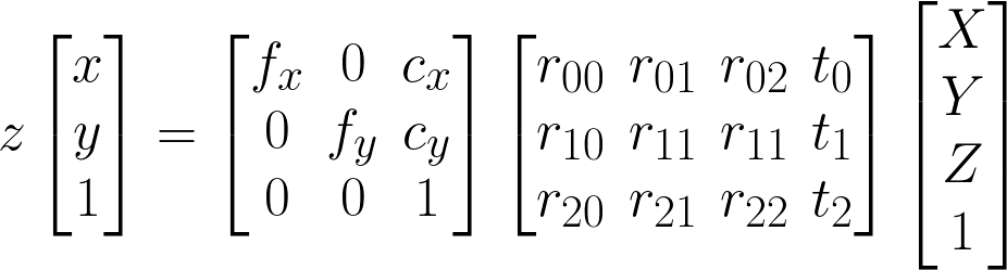 Fig.1: Camera projection (with delayed perspective division)